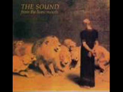 The Sound - Fatal Flaw