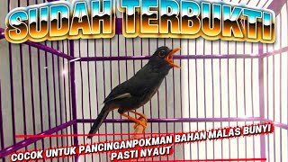 Download lagu POKSAY MANDARIN GACOR SUARA BERVARIASI TERBUKTI AMPUH UNTUK PANCINGAN  MASTERAN DAN PIKAT mp3
