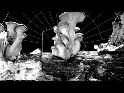 Kai Anschau - Everything is Anything feat. Mallory N