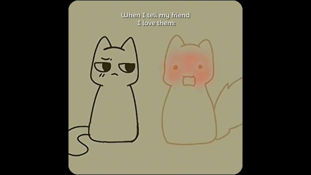 Cats Kissing 😻 #viral #funny #fypシ #trending #real #friends #love #kiss #cute #animation #meme