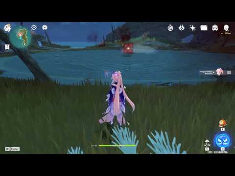 Lvl 80 kokomi vs Pyro cube f2p showcase (with bad dodging skills)