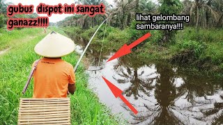 Download lagu PAK TANI INI SANGAT PINTAR MEMANCING GABUS!! MANCING GABUS PAKAI JORAN TEGEK 8METER!!! mp3 Download lagu PAK TANI INI SANGAT PINTAR MEMANCING GABUS!! MANCING GABUS PAKAI JORAN TEGEK 8METER!!! mp3