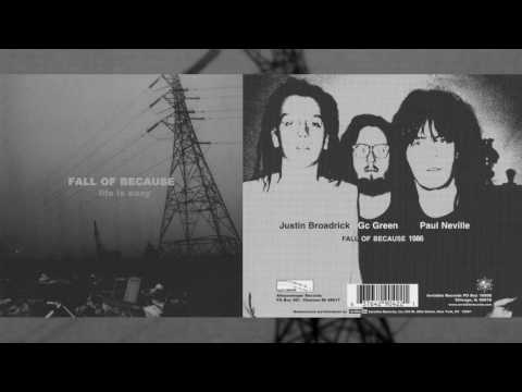 download lagu mp3 mp4 Fall Of Because, download lagu Fall Of Because gratis, unduh video klip Fall Of Because