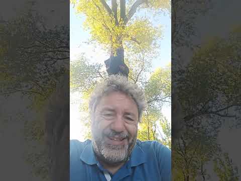 Metallica e Guns and Roses secondo Chatgpt