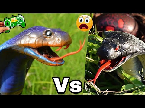 Rc King Cobra Snake Unboxing and Testing | Remote Control Snake