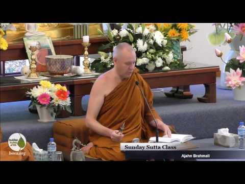 DN16: Mahaparinibbana Sutta (part 1) | Ajahn Brahmali | 22 January 2017