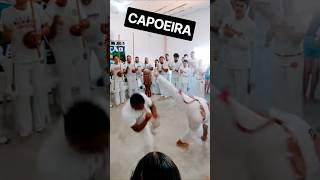 Mestre mostrou habilidade