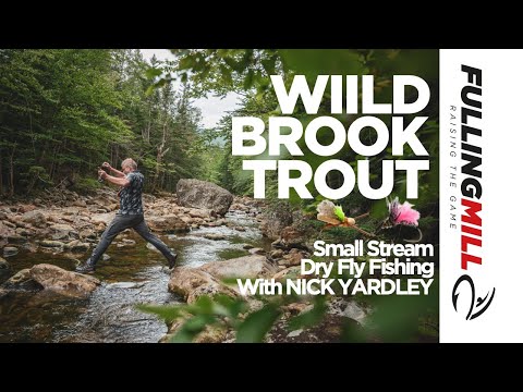 Dry Fly Fishing: Wild Brook Trout on a Small Mountain Stream