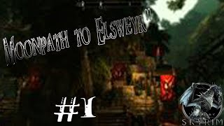 SKYRIM Путь в Эльсвейр.. Начало пути..