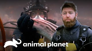 Thumbnail del capítulo