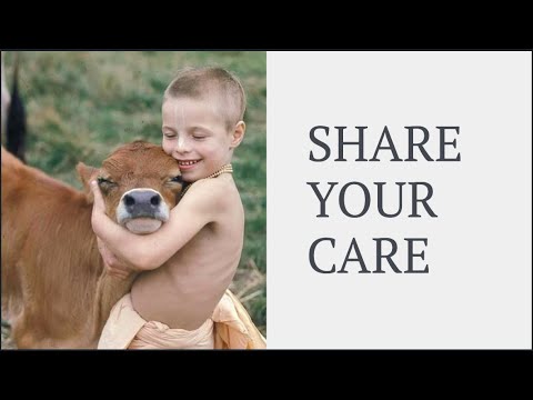 Shelter & Care for 58 cows in INDIA