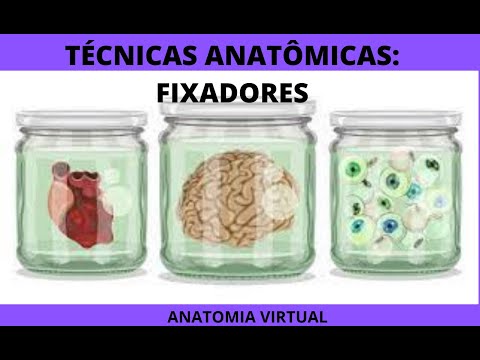 tecnicas anatomicas fixadores