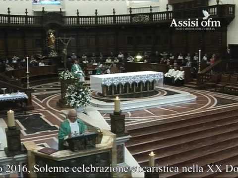 XX Domenica del T.O.: omelia di p. Renato Russo