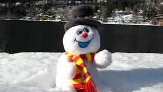 Frosty the Snowman in Nelson