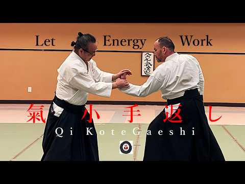 氣小手返し Qi KoteGaeshi 合氣のエネルギー | Katsumi Idogawa Sensei 井戸川克巳先生 Oizumi Aikido Club 大泉合氣道 2026 #7