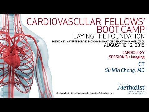 CT (Su Min Chang, MD)