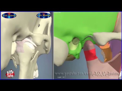 Гонартроз 2 степени коленного сустава лечение синовит Разрушается сустав большого пальца на ноге