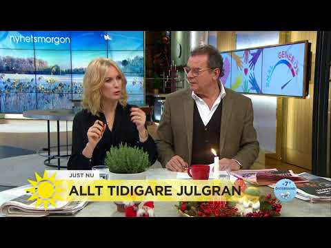 Vad är orsaken till nya julgranstrenden? - Nyhetsmorgon (TV4)