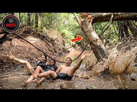 People Failing Hilariously | Moments when Things Went Wrong (P210)