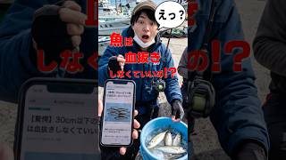 30cm以下の魚、本当の処理方法はこれ #釣り #魚 #旨くなる