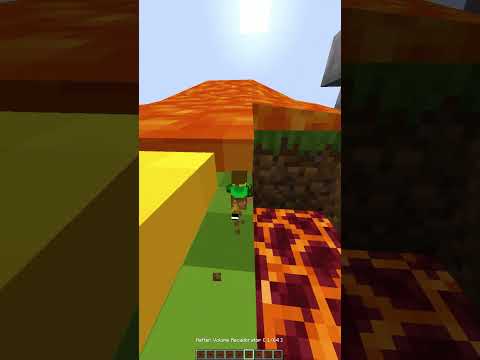 Minecraft Can You Fit🤯 (World's Smallest Violin)