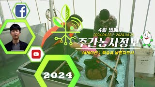 [ 주간농사정보 ] 4월 4째주 (2024. 04. 22. ~ 04. 28.)