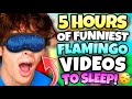 5 HOURS OF FLAMINGO TO FALL ASLEEP ROBLOX MARATHON