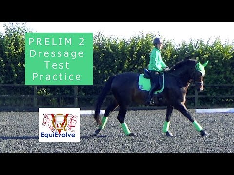 Learn The Prelim 1 British Dressage Test (2016 Prelim 2)
