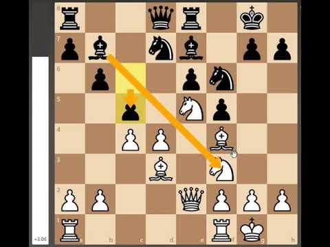 A  Alekhine Vs M  Feldt