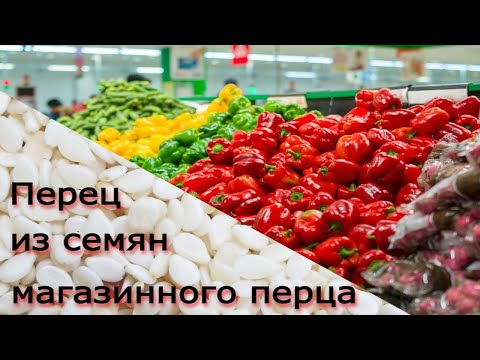 Выращивание сладкого перца из магазинного