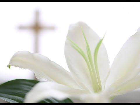 download lagu mp3 mp4 How Do You Wish Someone A Good Easter, download lagu How Do You Wish Someone A Good Easter gratis, unduh video klip How Do You Wish Someone A Good Easter