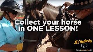 Beginner Rider, Difficult Horse — One Session With the Collection Reins