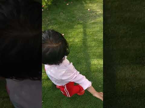 05-05-2018 playing with Dog