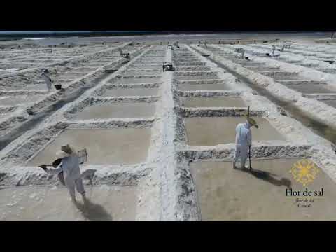 Flor de sal Cimsal Mossoró - RN