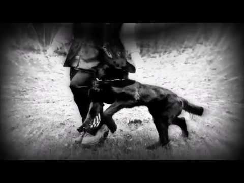 Bazooka von Pike´s Spirit - Protection