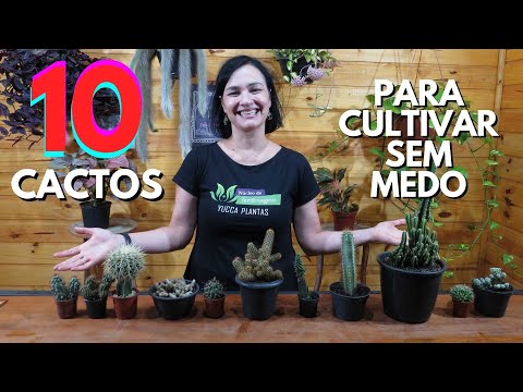 10 cactos para cultivar SEM MEDO!