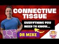 Connective Tissue Everything You Need To Know