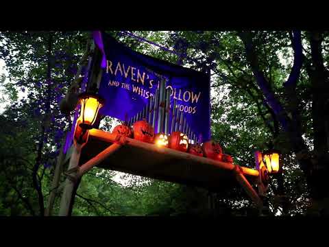 Raven's Hollow: Entrance to the Haunted Forest