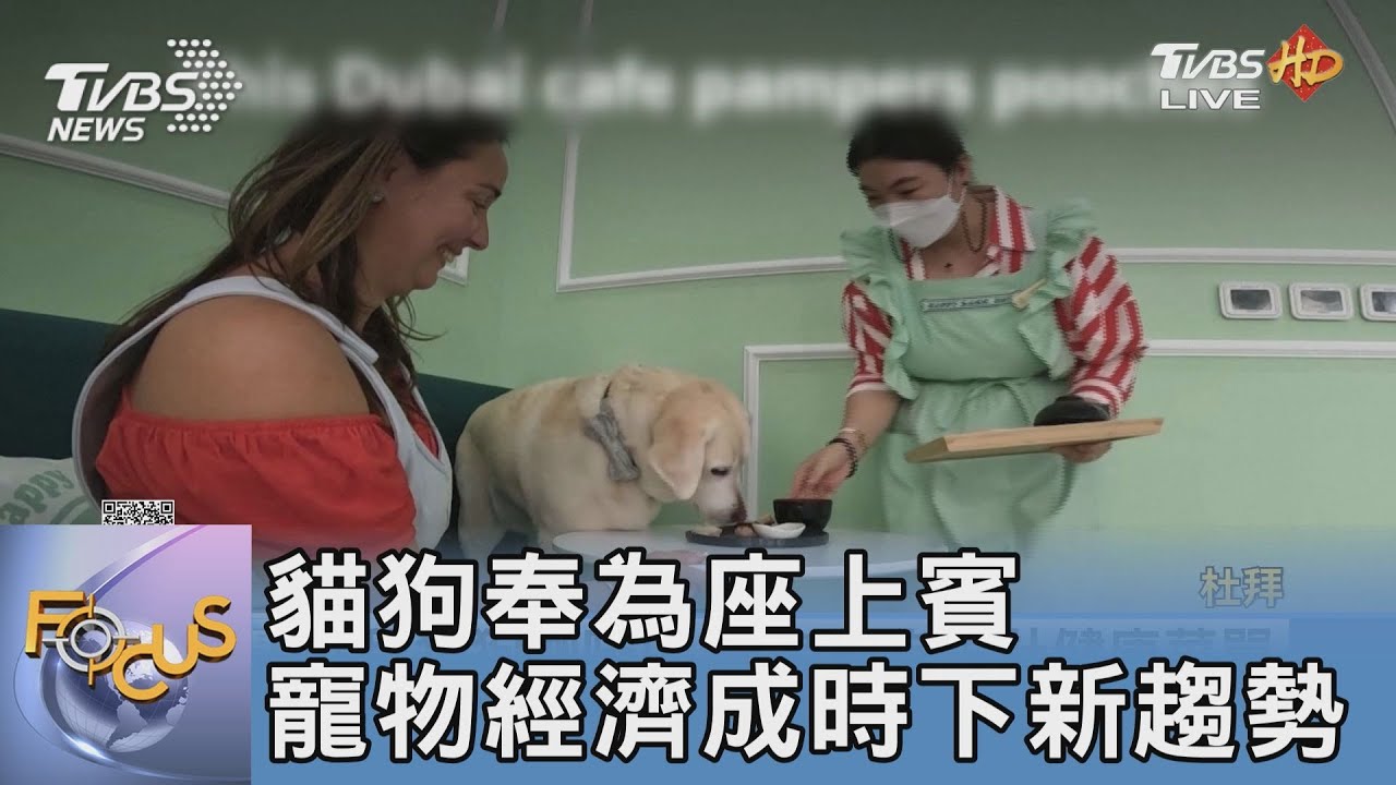 貓狗奉為座上賓 寵物經濟成時下新趨勢