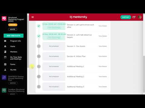 Mentornity Inc video/presentation/materials