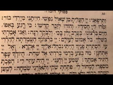 Davening 2 Mizmor Shir Chanukas English Translation Sharcharis - תפילה 2 מזמור שיר חנוכת – שחרית