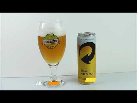 SKOL PURO MALTE MELHOR FORMA PRA VOCÊ EXPERIMENTAR  COM ESTILO