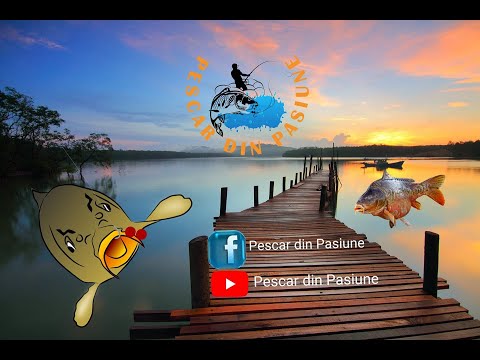 Pescuit la Crap in luna Noiembrie la Feeder/ Ferma Piscicola Trivalea Mosteni/Crescatorie 😱🐟🐟/