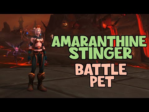 WoW Shadowlands 9.1 - How To Get The Amaranthine Stinger Battle Pet | Tormentors of Torghast