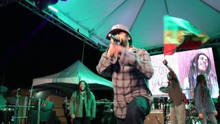 Damian Marley - Roar Fi A Cause (Live at Bob Marley Birthday Bash)