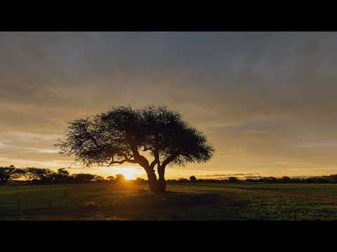 Mojoman  - Pillers Of Nah