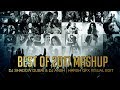 Best Of 2017 | Mashup | DJ Shadow Dubai & DJ Ansh | Full Video