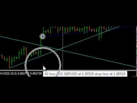 FM 1 Expert Advisor (persian language) 2 gbp/usd