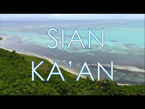 Videos del Beachfront House Sian Kaan 5★ en Tulum, MéxicoVer MásVerPrecios3CerrarConsulta por Whatsapp 🇦🇷BookingSkyscannerTrivago