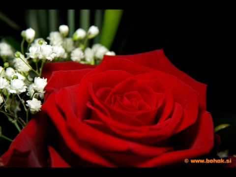 bila je jesen-Jasmin Stavros